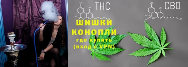 2c-b Костерёво