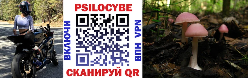 Галлюциногенные грибы GOLDEN TEACHER  Пролетарск 